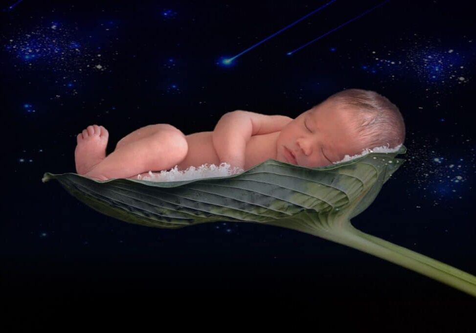 Baby sleeping on giant leaf in space