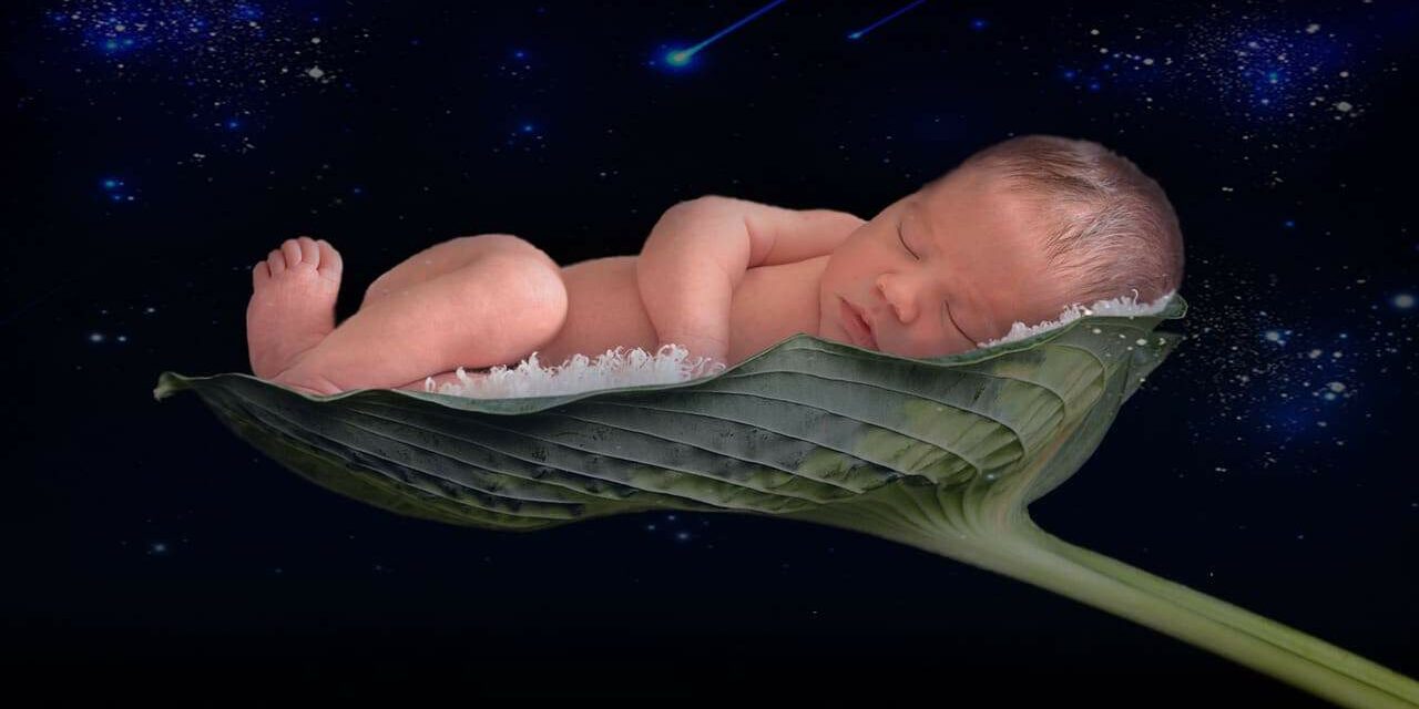 Baby sleeping on giant leaf in space